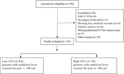 Excess visceral fat area as an independent risk factor for early postoperative complications in patients with obesity undergoing bariatric surgery